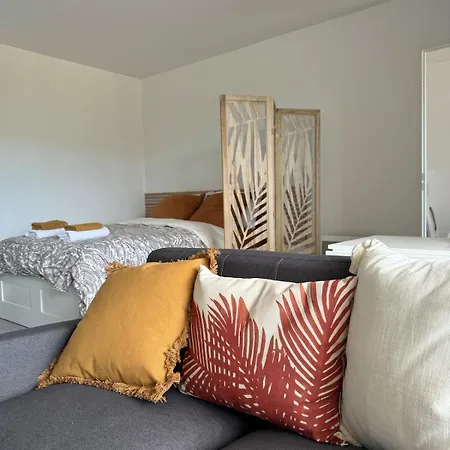 Cozy Proche Du Centre Terrasse,parking *